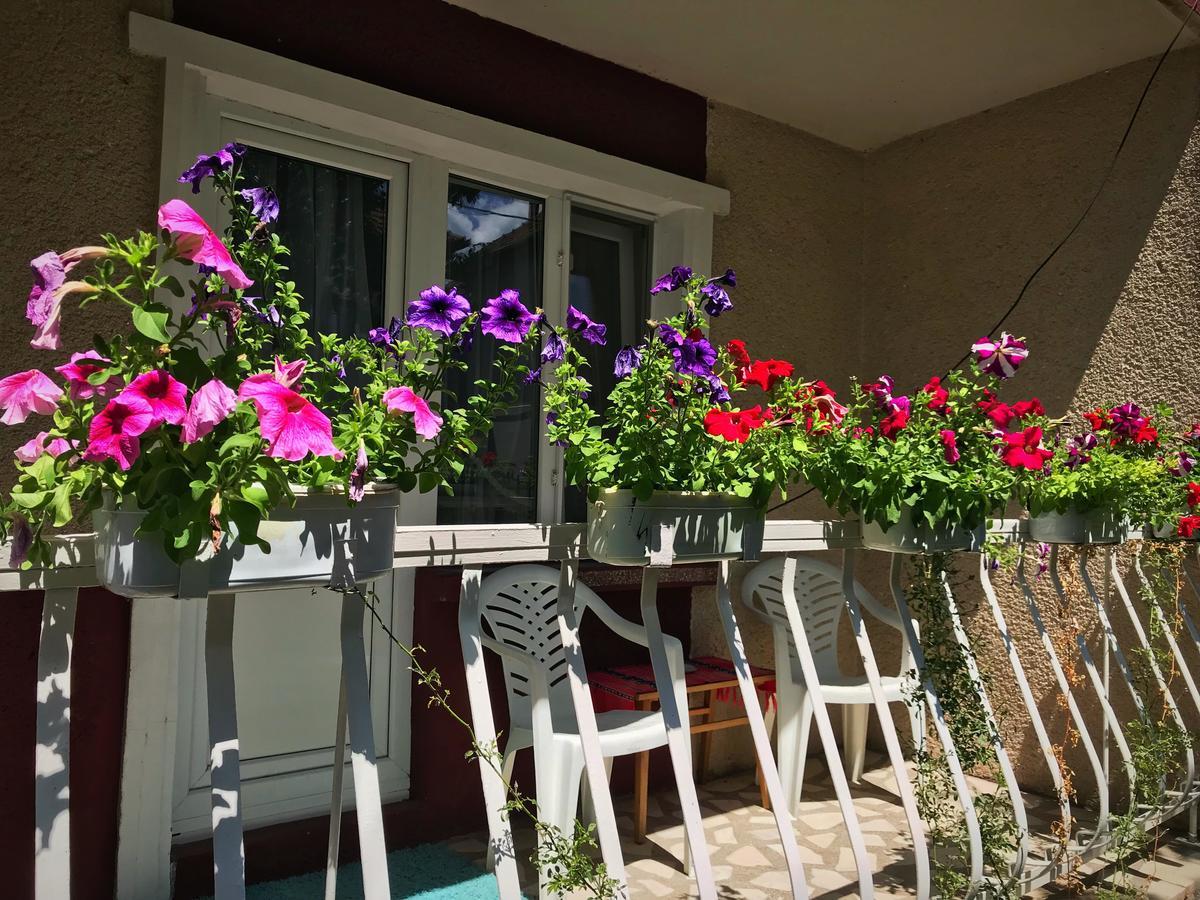 Casa Mary Hotel Hateg Exterior photo