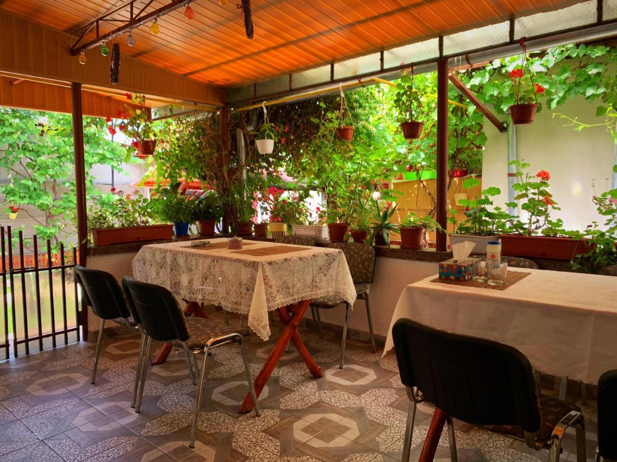 Casa Mary Hotel Hateg Exterior photo